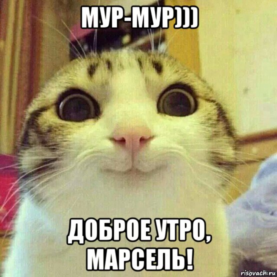 мур-мур))) доброе утро, марсель!, Мем       Котяка-улыбака