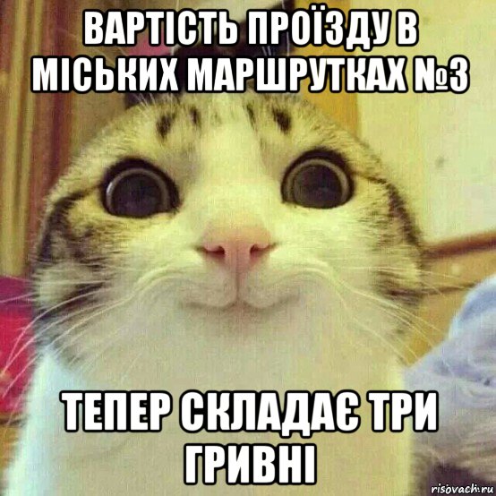 вартість проїзду в міських маршрутках №3 тепер складає три гривні, Мем       Котяка-улыбака