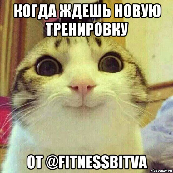 когда ждешь новую тренировку от @fitnessbitva, Мем       Котяка-улыбака