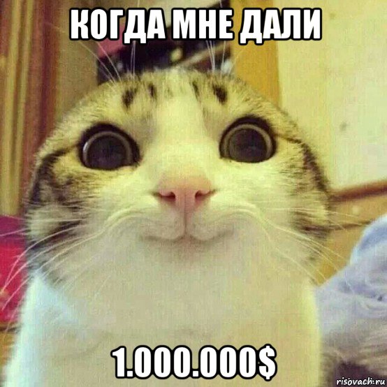 когда мне дали 1.000.000$, Мем       Котяка-улыбака