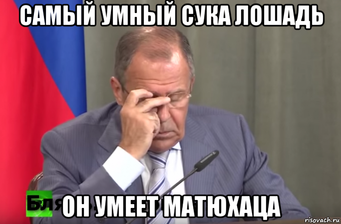 самый умный сука лошадь он умеет матюхаца