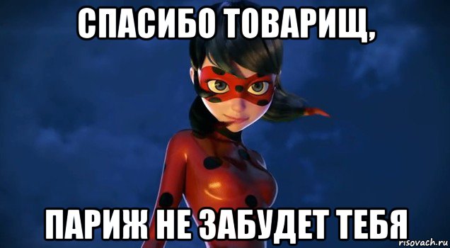спасибо товарищ, париж не забудет тебя, Мем Леди баг