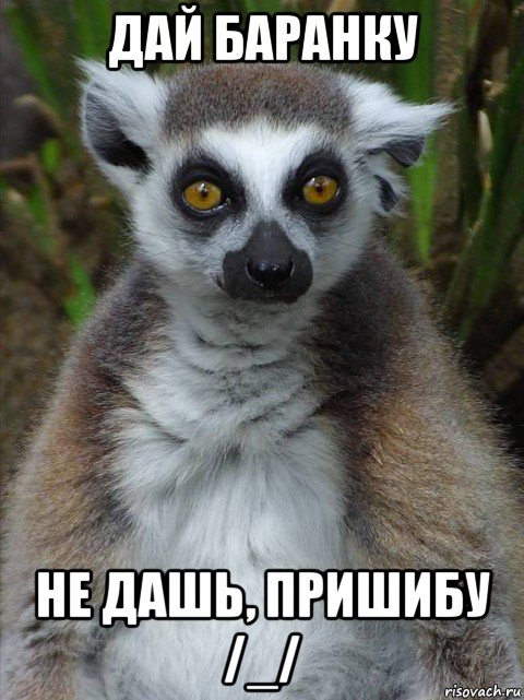 дай баранку не дашь, пришибу /_/