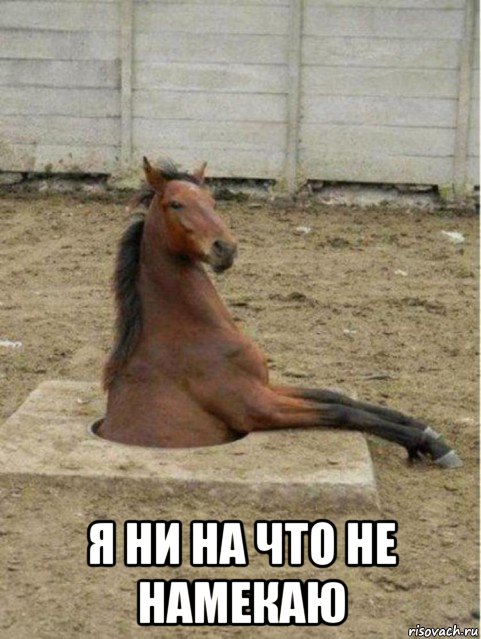  я ни на что не намекаю, Мем лошадь в люке