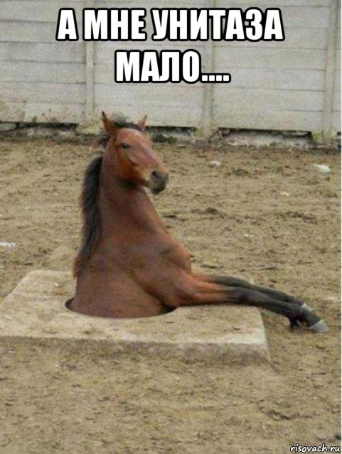 а мне унитаза мало.... 