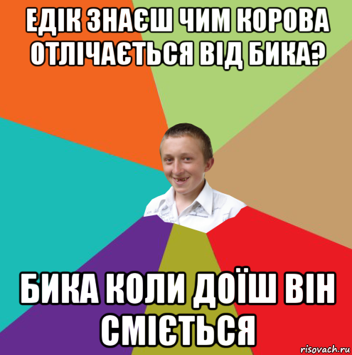 едік знаєш чим корова отлічається від бика? бика коли доїш він сміється, Мем  малый паца