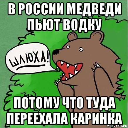в россии медведи пьют водку потому что туда переехала каринка, Мем Медведь в кустах