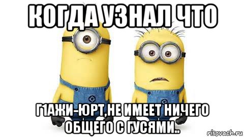 когда узнал что г1ажи-юрт,не имеет ничего общего с гусями.., Мем Миньоны