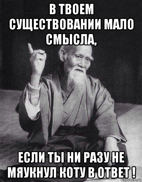 в твоем существовании мало смысла, если ты ни разу не мяукнул коту в ответ !, Мем Монах-мудрец (сэнсей)