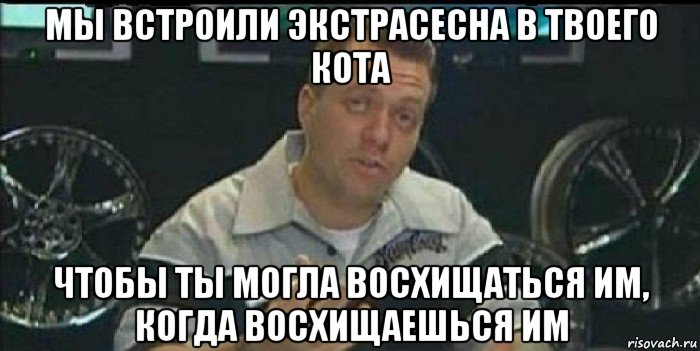 мы встроили экстрасесна в твоего кота чтобы ты могла восхищаться им, когда восхищаешься им, Мем Монитор (тачка на прокачку)