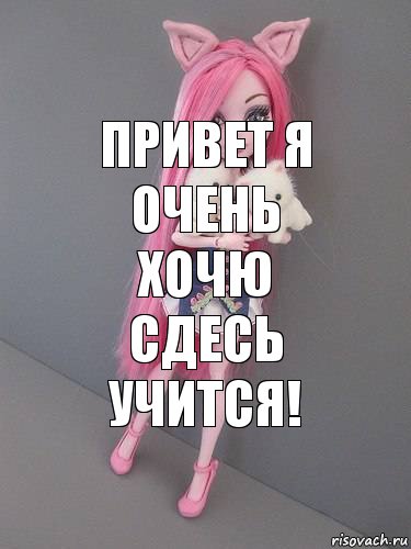 Привет я очень хочю сдесь учится!