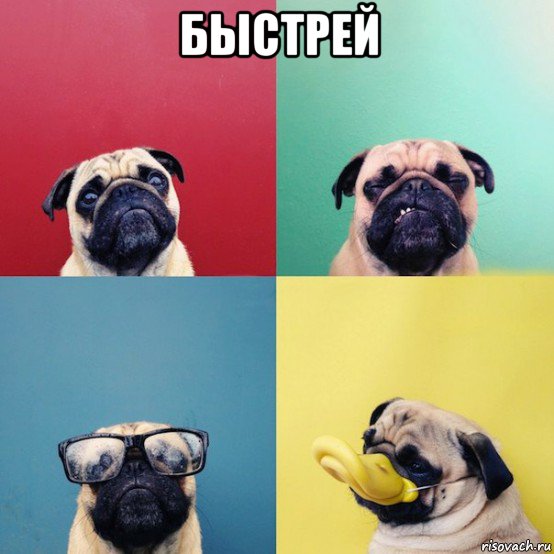 быстрей , Мем мопс