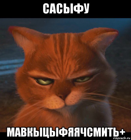 сасыфу мавкыцыфяячсмить+