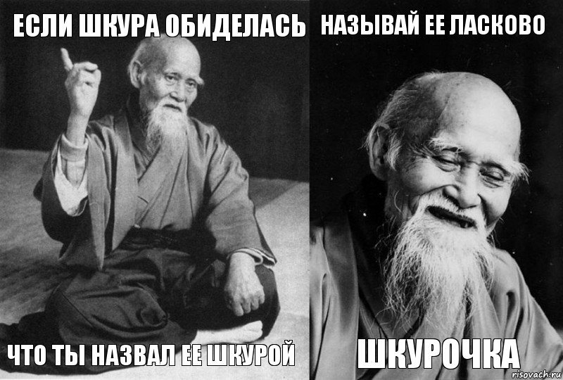 если шкура обиделась что ты назвал ее шкурой называй ее ласково шкурочка, Комикс Мудрец-монах (4 зоны)