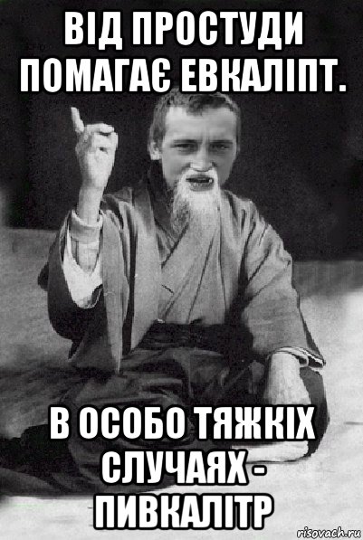 від простуди помагає евкаліпт. в особо тяжкіх случаях - пивкалітр, Мем Мудрий паца