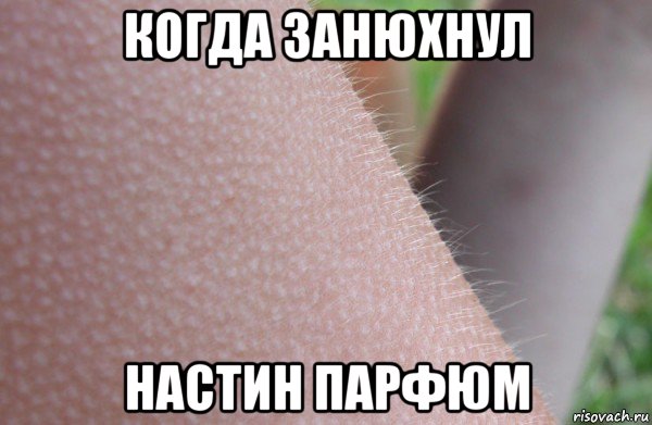 когда занюхнул настин парфюм