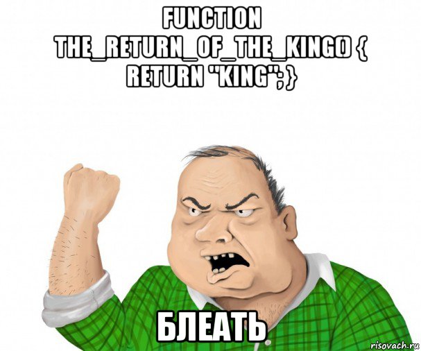 function the_return_of_the_king() { return "king"; } блеать, Мем мужик