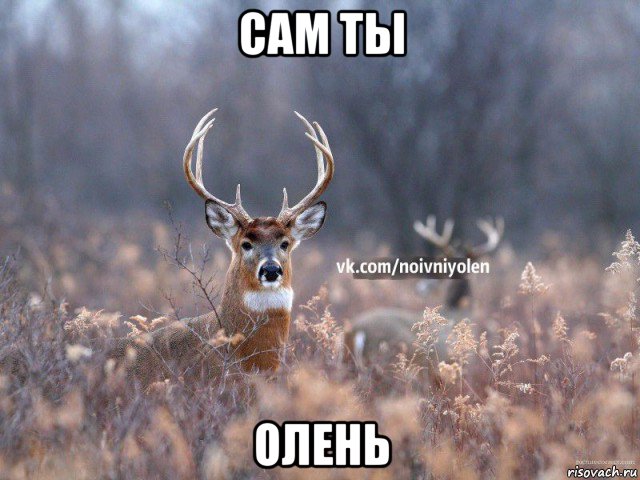 сам ты олень, Мем Наивный Олень vk