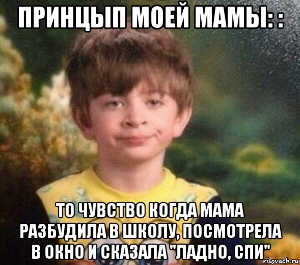 принцып моей мамы: : то чувство когда мама разбудила в школу, посмотрела в окно и сказала "ладно, спи", Мем Недовольный пацан