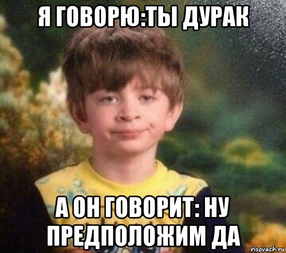 я говорю:ты дурак а он говорит: ну предположим да, Мем Недовольный пацан