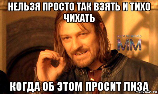 нельзя просто так взять и тихо чихать когда об этом просит лиза