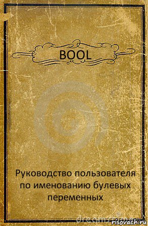 BOOL Руководство пользователя по именованию булевых переменных, Комикс обложка книги