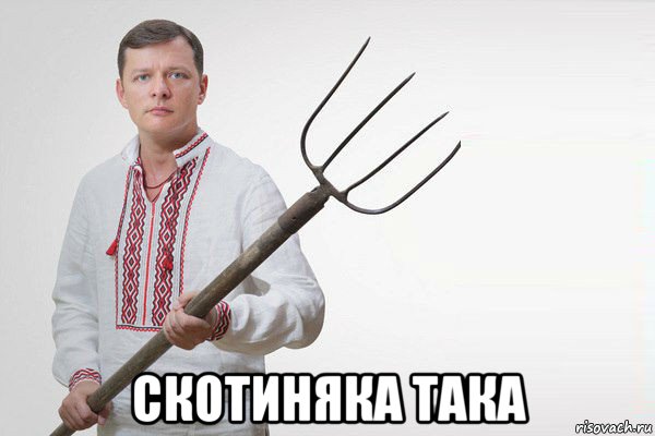  скотиняка така, Мем Олег Ляшко  вила