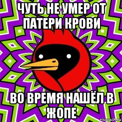 чуть не умер от патери крови во время нашёл в жопе, Мем Омская птица