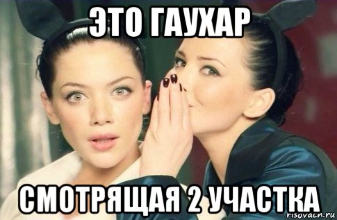 это гаухар смотрящая 2 участка, Мем  Он