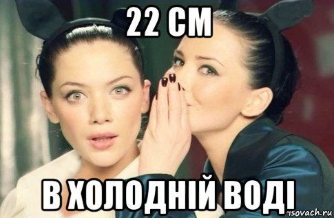 22 см в холодній воді, Мем  Он