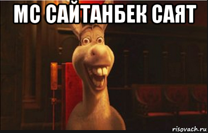 мс сайтанбек саят 