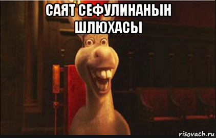 саят сефулинанын шлюхасы 