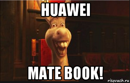 huawei mate book!, Мем Осел из Шрека