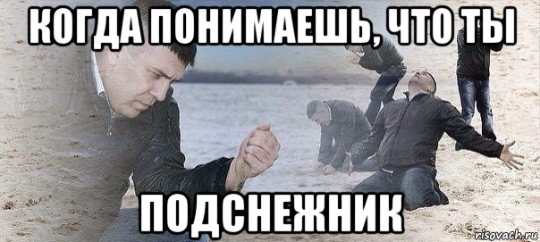 когда понимаешь, что ты подснежник