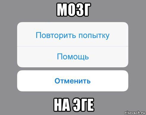 мозг на эге