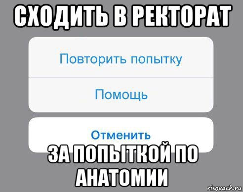 сходить в ректорат за попыткой по анатомии, Мем Отменить Помощь Повторить попытку