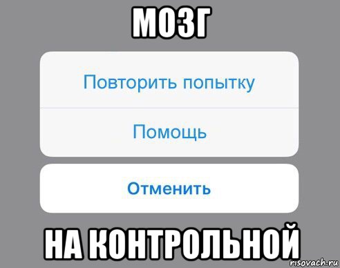 мозг на контрольной