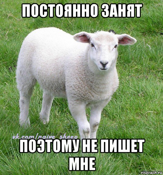постоянно занят поэтому не пишет мне