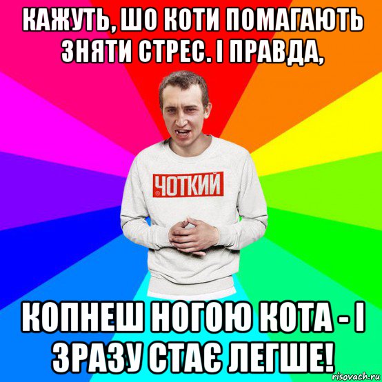 кажуть, шо коти помагають зняти стрес. і правда, копнеш ногою кота - і зразу стає легше!