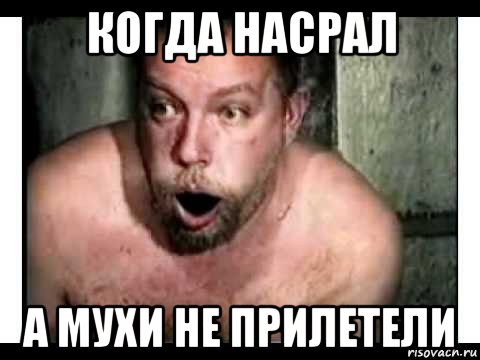 когда насрал а мухи не прилетели