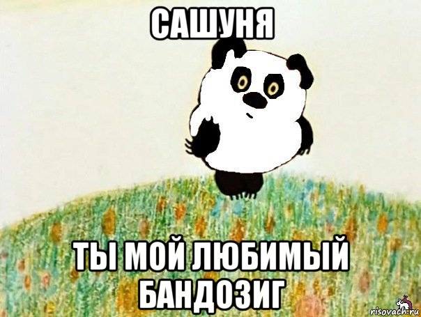 сашуня ты мой любимый бандозиг, Мем панды