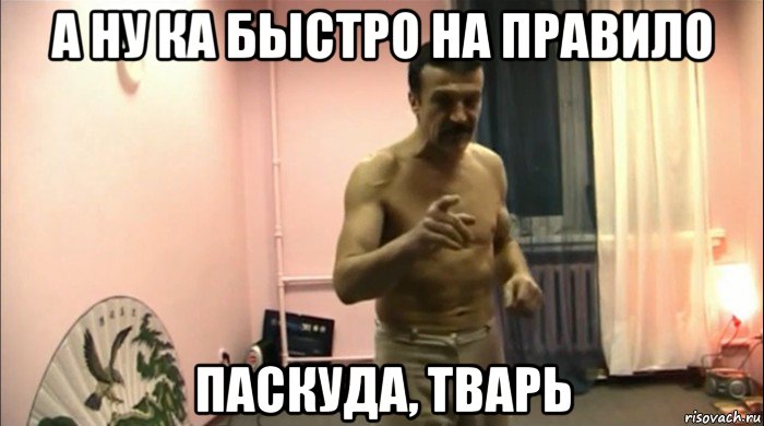 а ну ка быстро на правило паскуда, тварь