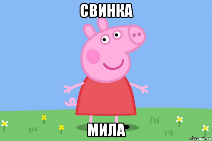 свинка мила