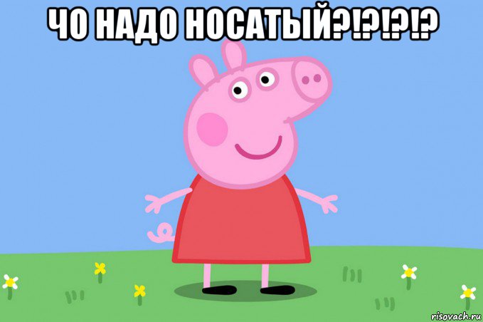 чо надо носатый?!?!?!? , Мем Пеппа