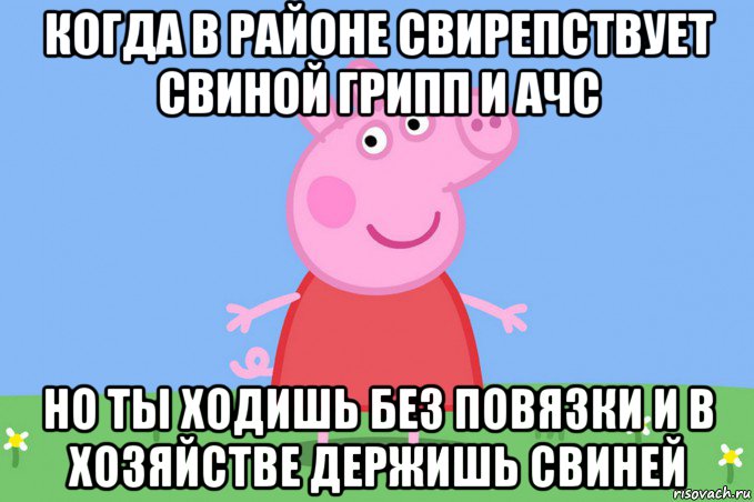 когда в районе свирепствует свиной грипп и ачс но ты ходишь без повязки и в хозяйстве держишь свиней, Мем Пеппа