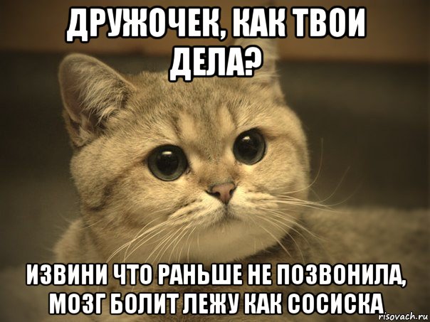 дружочек, как твои дела? извини что раньше не позвонила, мозг болит лежу как сосиска, Мем Пидрила ебаная котик