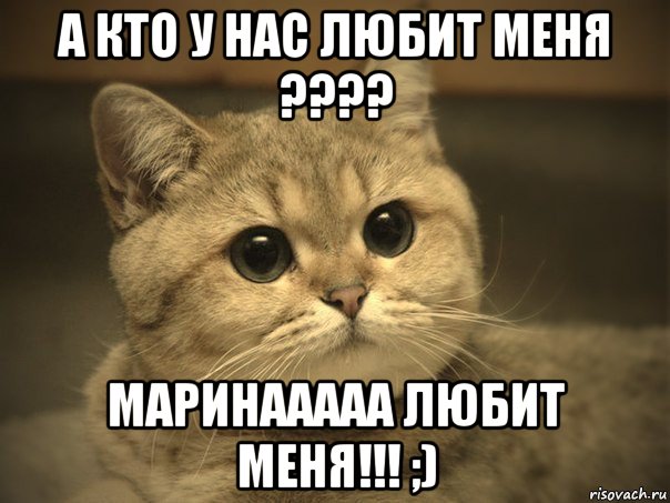 а кто у нас любит меня ???? маринааааа любит меня!!! ;), Мем Пидрила ебаная котик