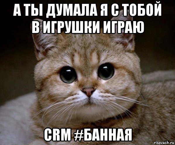 а ты думала я с тобой в игрушки играю crm #банная, Мем Пидрила Ебаная