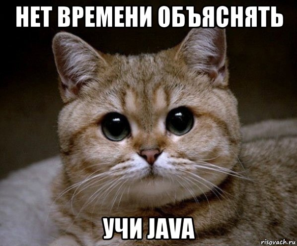 нет времени объяснять учи java, Мем Пидрила Ебаная