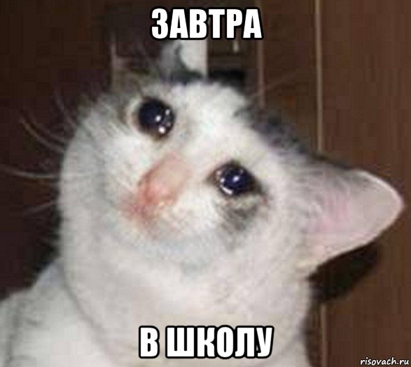 завтра в школу